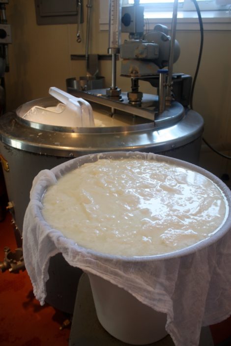 The renowned Rawson Brook goat cheese in the making. Photo: Hannah Jacobson-Hardy