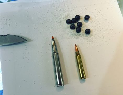 Bullets and buckshot.