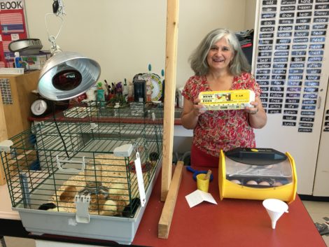 Fourth grade teacher Susan Ebitz with the paraphernalia of the Yolk Project.