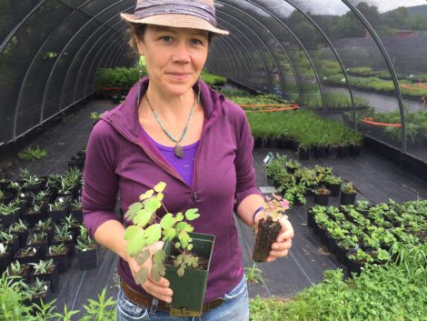 Bridghe McCracken holds a rare plant grown from seed and potted for sale. Photo: Heather Bellow