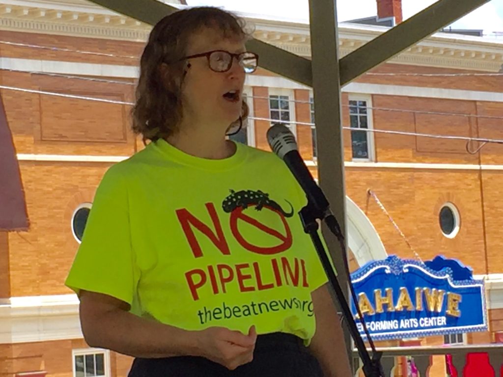 Jane Winn, Executive Director of Berkshire Environmental Action Team (BEAT). Photo: Heather Bellow.