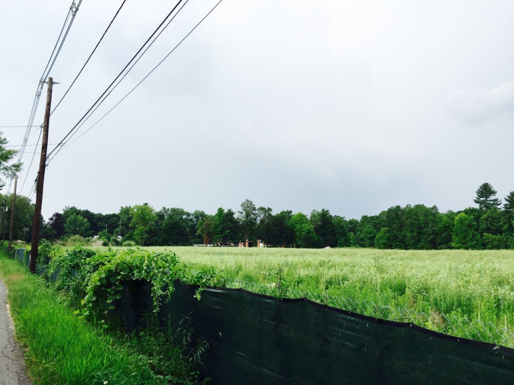 From Bentley Street, the south end of the 8-acre site where, on 2.2 acres next to the wastewater treatment plant, the CDC plans to build 45 affordable housing units. Photo: Heather Bellow.