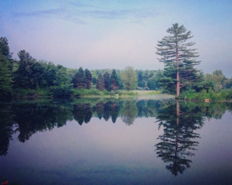 Barbieri Pond off Monument Mountain Road, when full, in August 2015. Photo: Michele DiSimone.