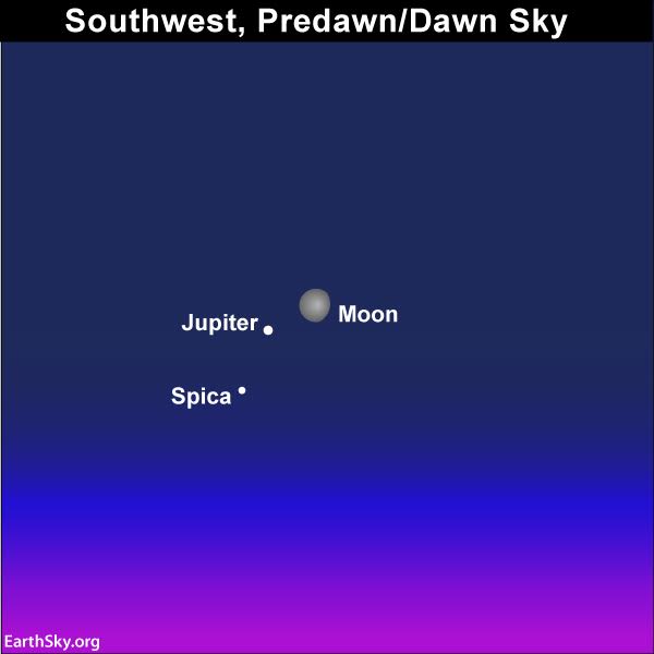 Look for the moon to shine close to Jupiter on the sky’s dome for several days, centered on or near Feb. 15. Courtesy of EarthSky.org