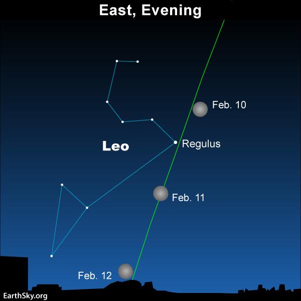 Watch the moon pass in front of the constellation Leo the Lion over the next few days. The green line depicts the ecliptic – Earth’s orbital plane projected onto the constellations of the zodiac.