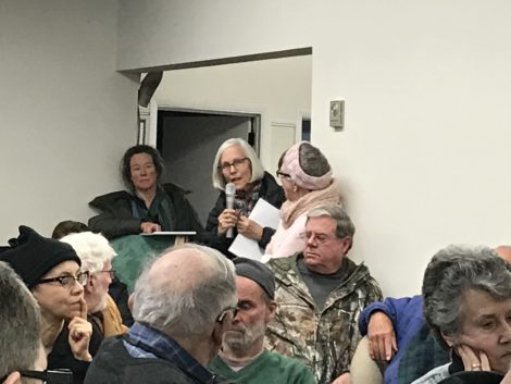 Egremont resident Wendy Linscott, microphone in hand, comments on the broadband proposals at Monday's Board of Selectmen meeting.