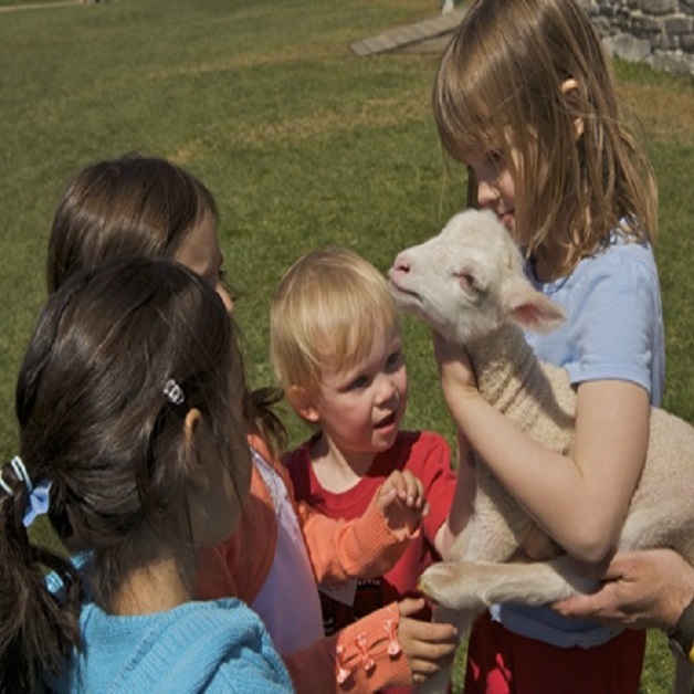 Children enjoy a 'Baby Animals' exhibit at Hancock Shaker Village.