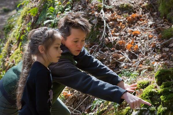 Carrieanne Petrik-Huff points out the natural features of Bartholomew's Cobble at the Cobble's 2016 wildflower festival. Photo: Eddie Wren
