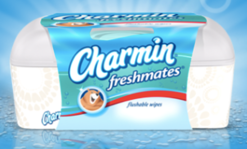 Wipes like these are causing an expensive nuisance. Town officials say that, regardless of what the package says, they should not be flushed. image courtesy Town of Great Barrington