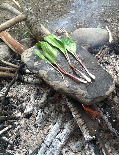 Ramps that were gathered for a meal at Flying Deer. Photo: Hannah Van Sickle
