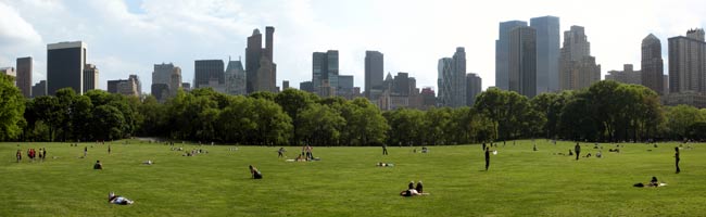 Central Park in New York City
