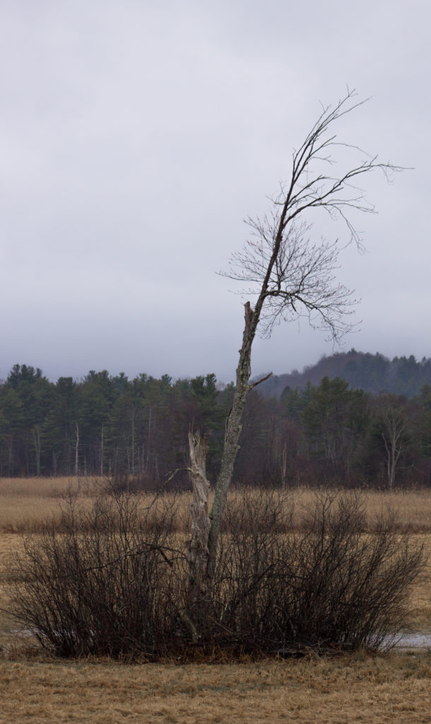 Laura's Tower by Jenna Crosier of Pittsfield, Mass.