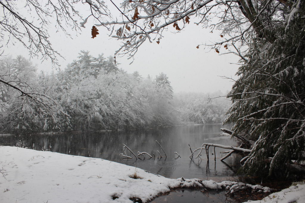 Averic Lake by John Morse of Stockbridge, Mass.