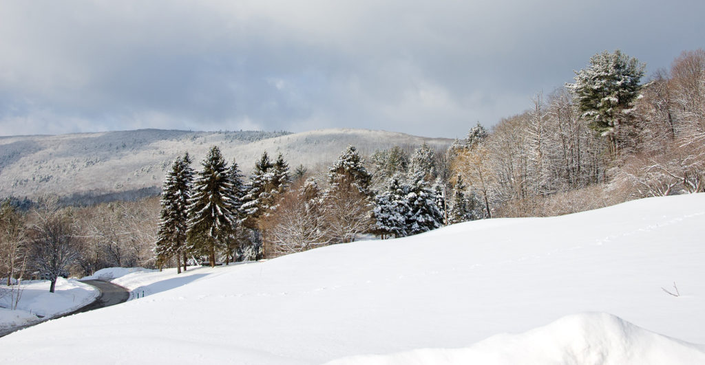 The Berkshire Hills Along Route 183 by Shirley Blanchard of Stockbridge, Mass.