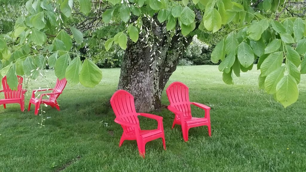 The red chairs beckon. June at the Norman Rockwell Museum by Tammis Coffin of Lenox, Mass.