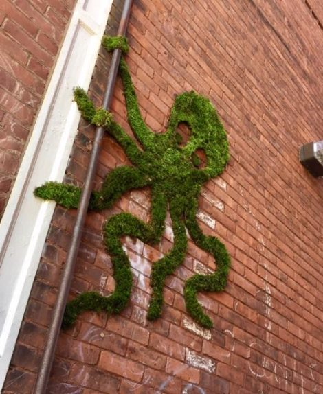 A moss octopus scales Tom's Toys, with the help of a drainage pipe. Photo: Hannah van Sickle
