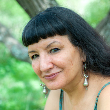 Cisneros Big Read Hudson Valley