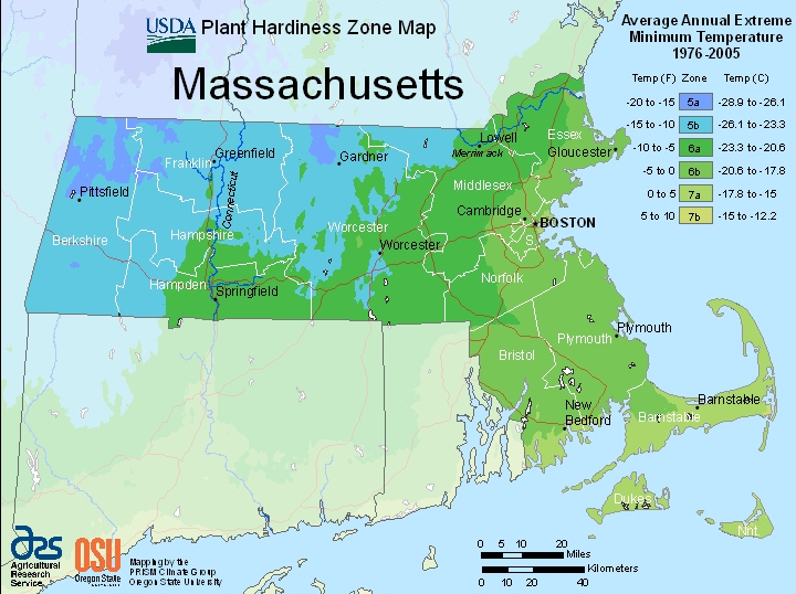 CROPPED Mass hardiness