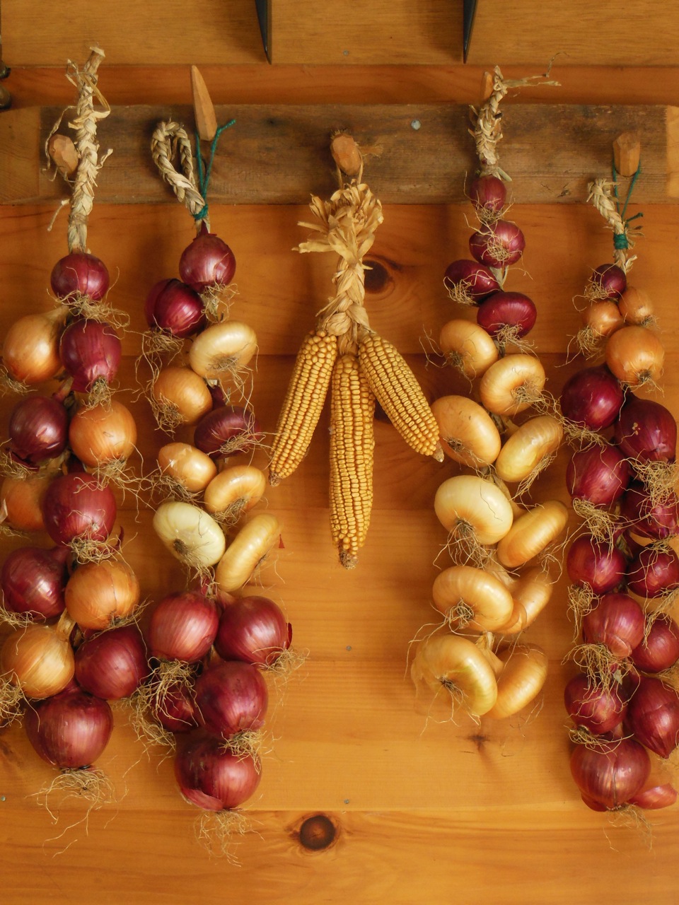 Braids of garlic, onions and sweet corn adorn the author's kitchen.