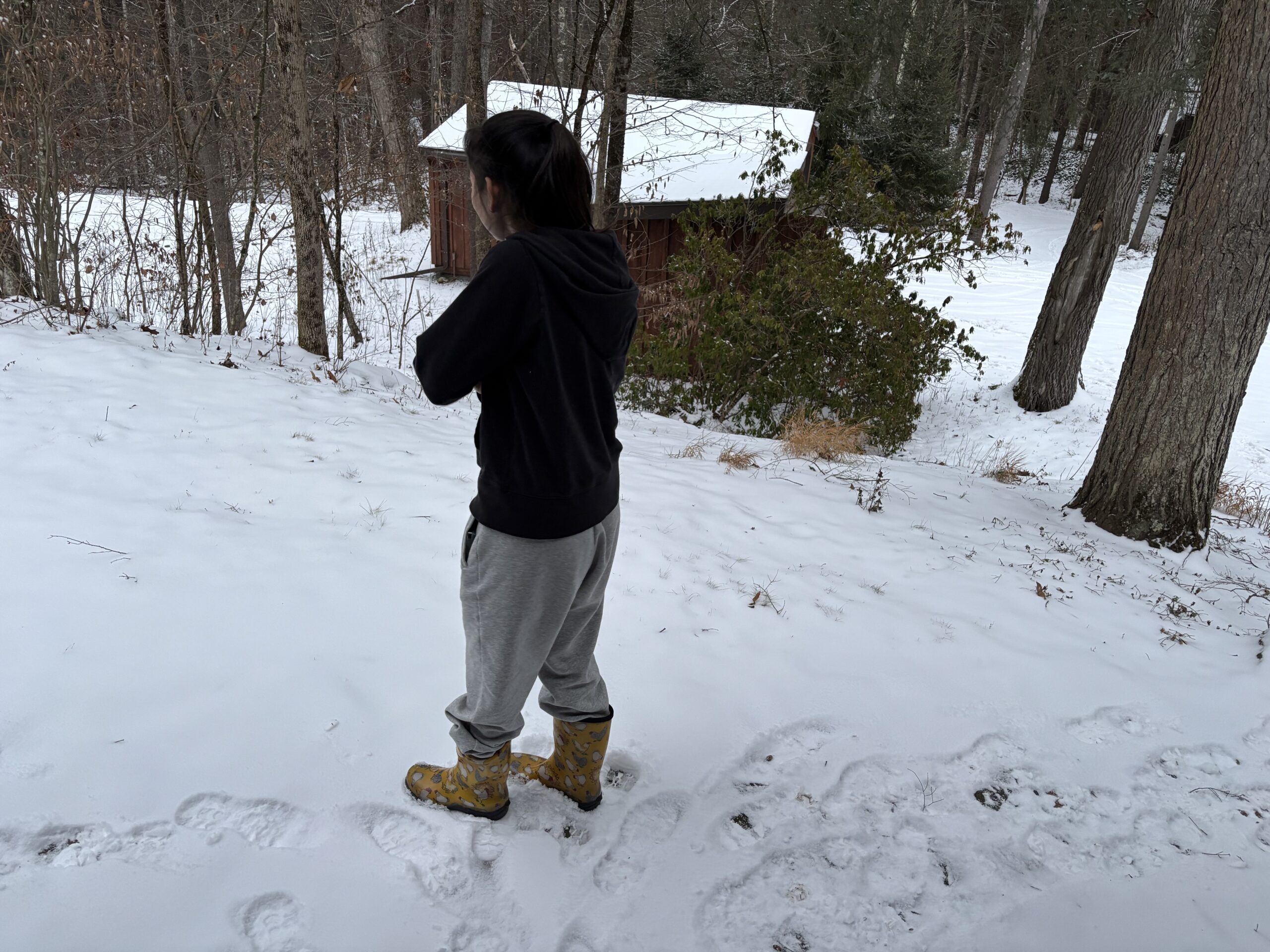 BERKSHIRE HATHAWAY INC. visual data 6