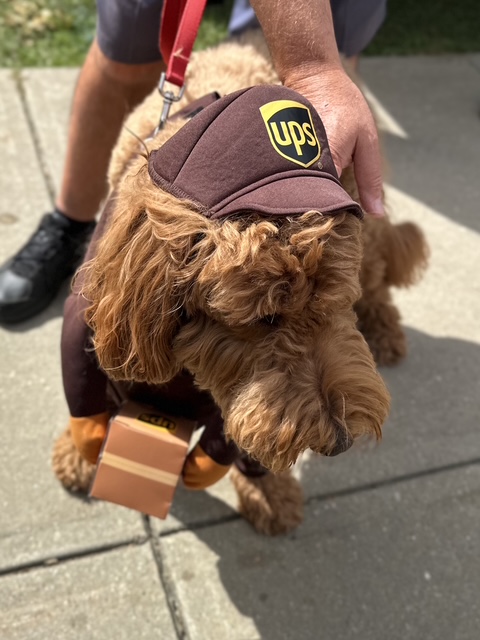 Someone's got a delivery! Photo by Joshua Bloom.