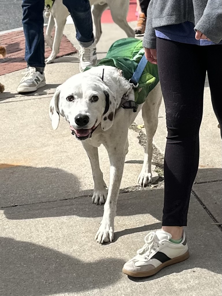 Could this smile be any sweeter? Photo by Joshua Bloom.
