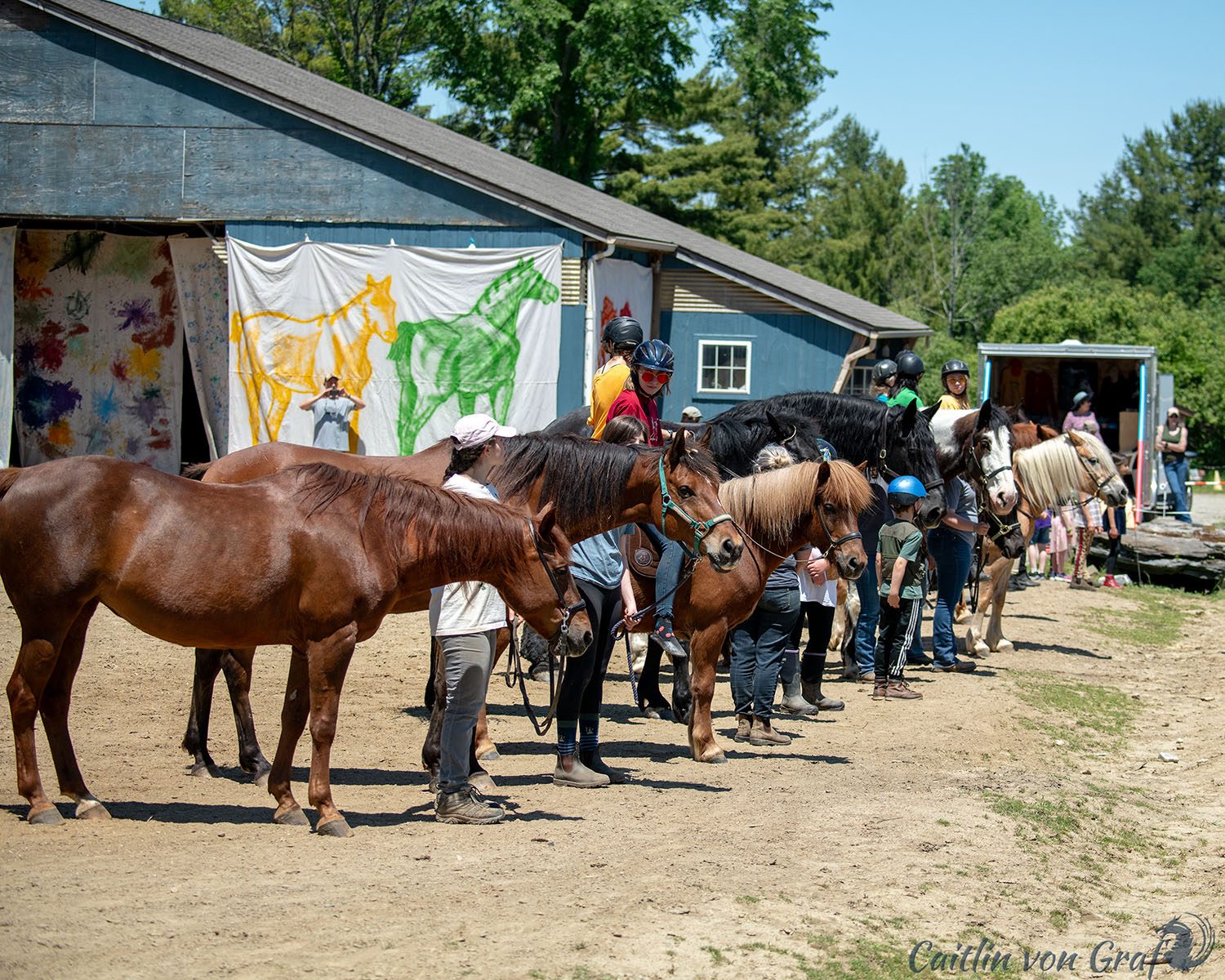 A Concert for the Horses: ButtonBall Barn hosts benefit for Blue Rider ...
