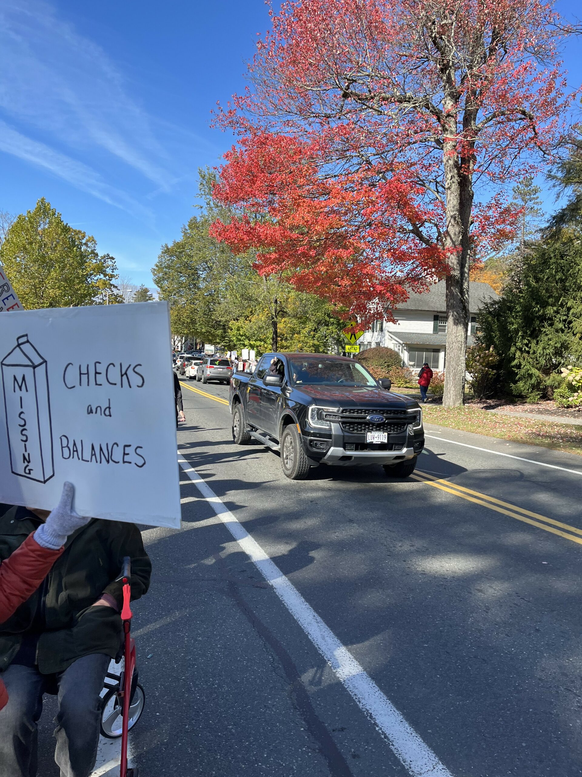 The Stockbridge No Kings Rally. Photo by Phil Deely.