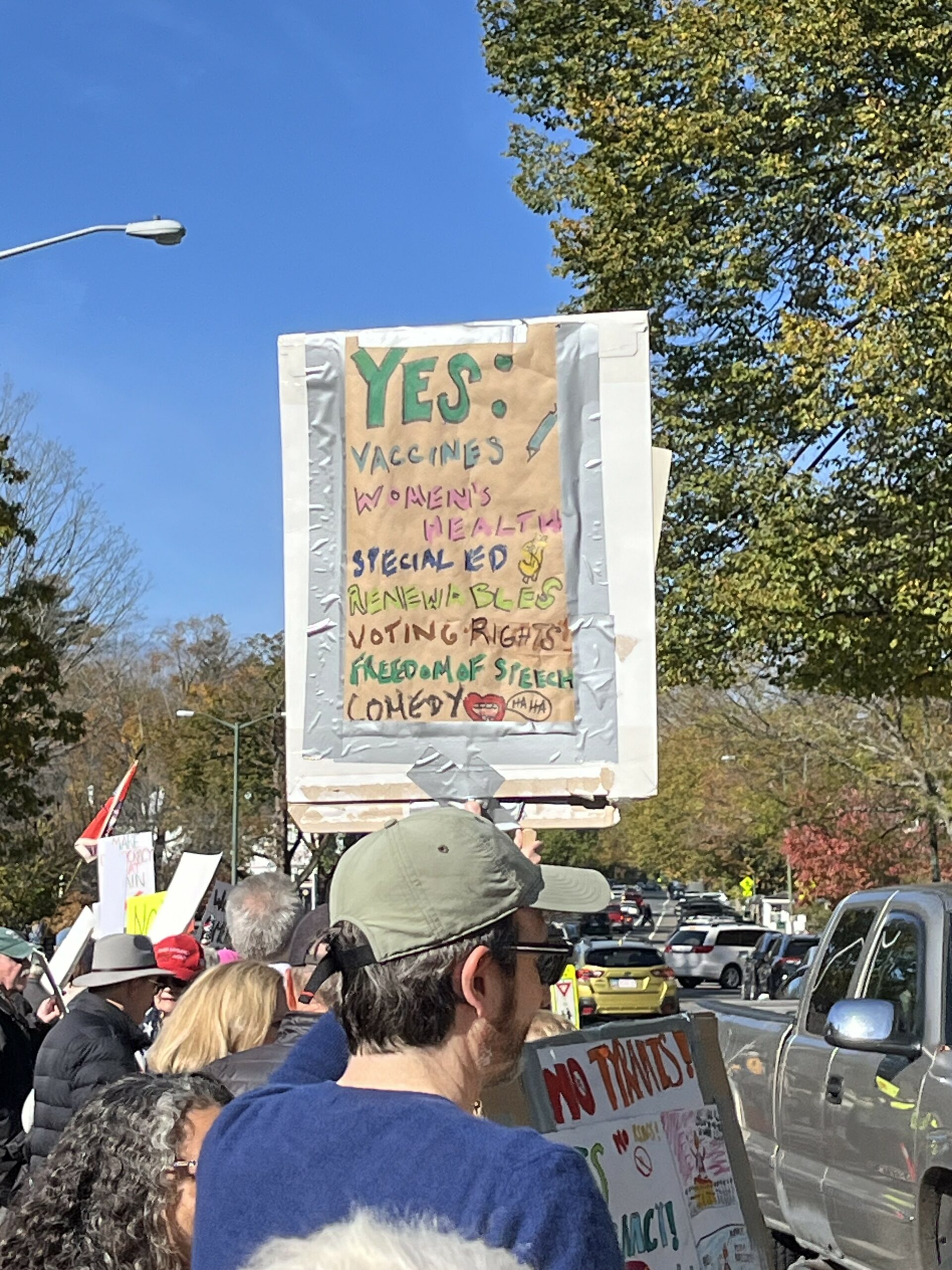 The Stockbridge No Kings Rally. Photo by Phil Deely.