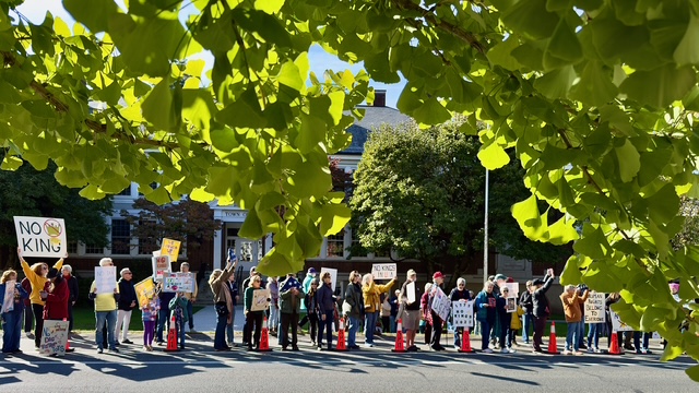 The Stockbridge No Kings rally. Photo by Lionel Delevinge.