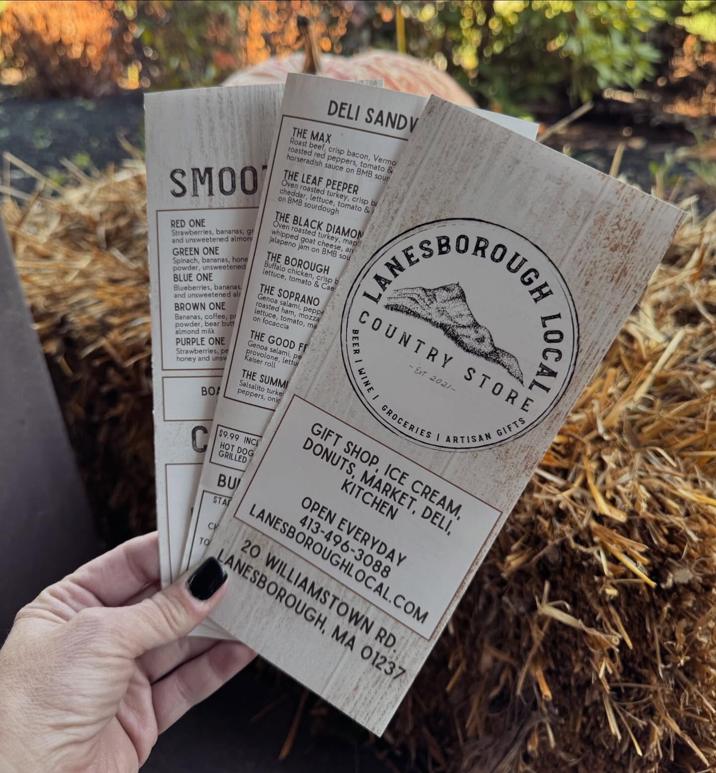 BUSINESS MONDAY: Spotlight on Lanesborough Local Country Store - The ...