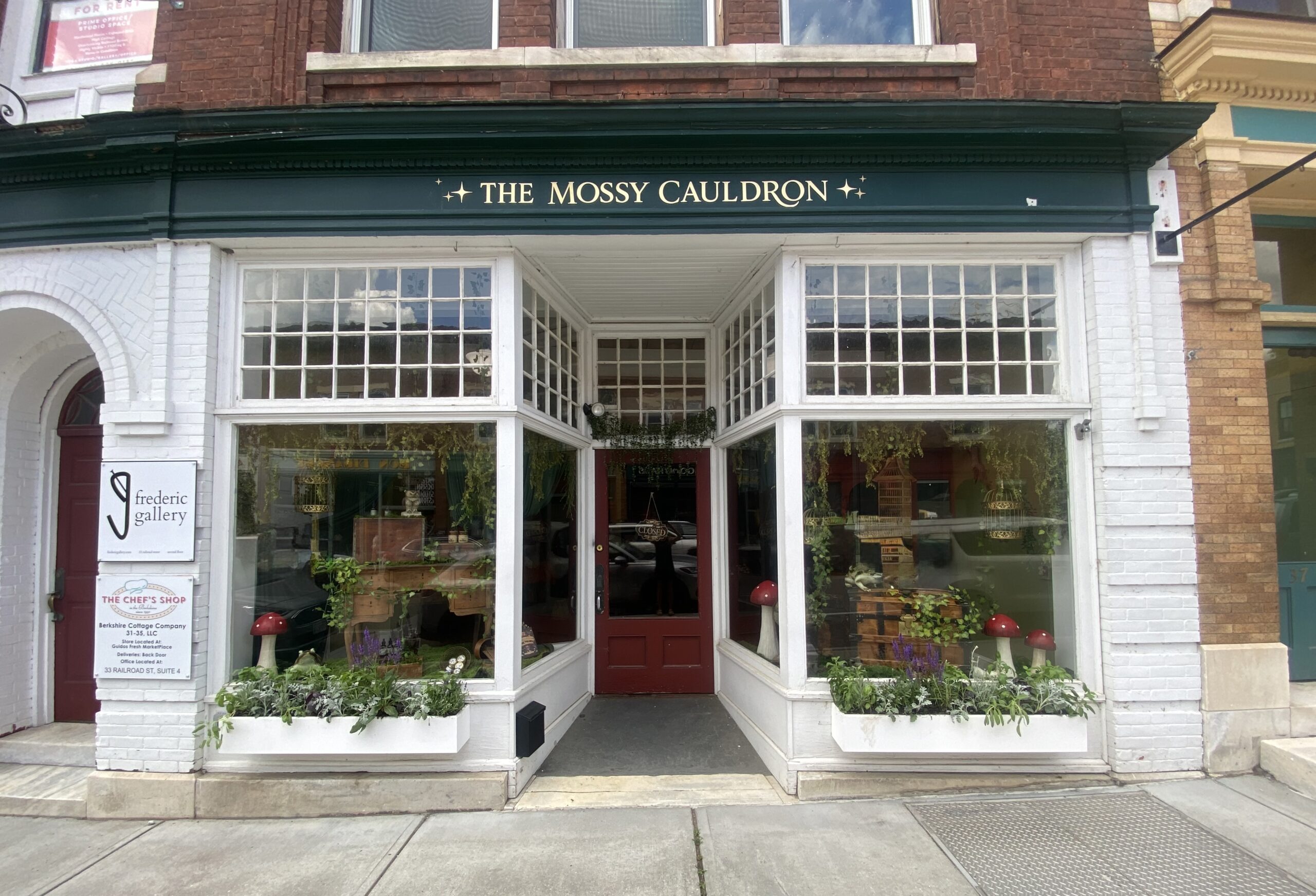 BUSINESS MONDAY: Spotlight on The Mossy Cauldron in Great Barrington - The Berkshire Edge
