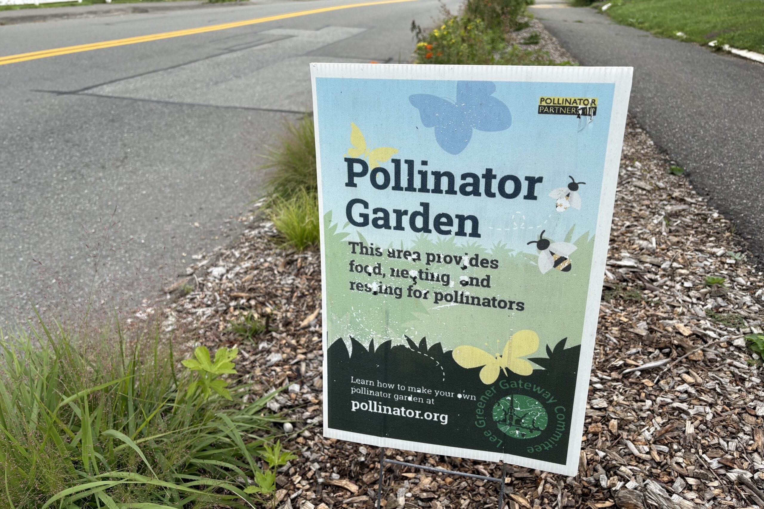 Lee’s Pollinator Path aims to grow connections between town history and nature - The Berkshire Edge