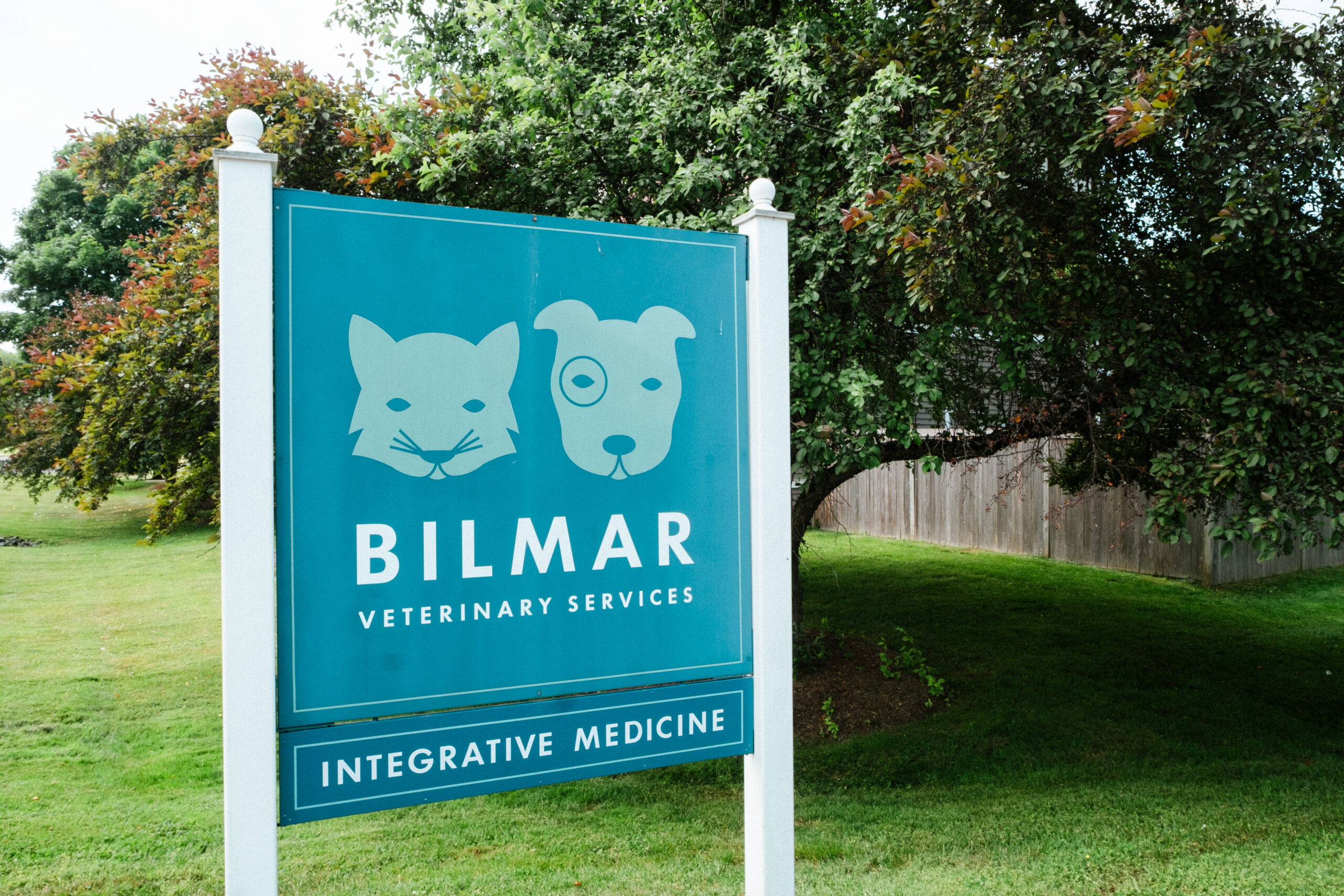 BUSINESS MONDAY: Spotlight on Bilmar Veterinary Services in Great Barrington