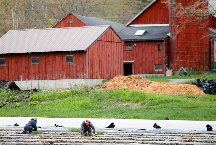 BERKSHIRE FOOD EVENTS: September 9, 2026: Culinary happenings in the Berkshires and beyond! - The Berkshire Edge