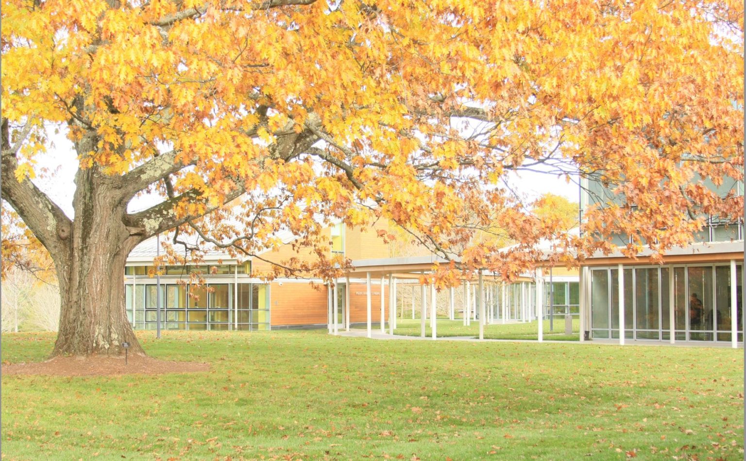 PREVIEW: BSO musicians open fall chamber music season Oct. 18 at Tanglewood's Linde Center - The Berkshire Edge
